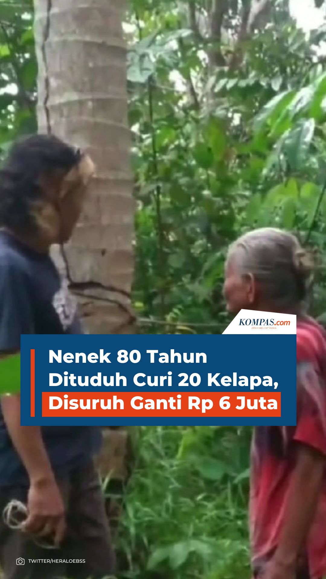 Nenek Tahun Dituduh Curi Kelapa Disuruh Ganti Rp Juta