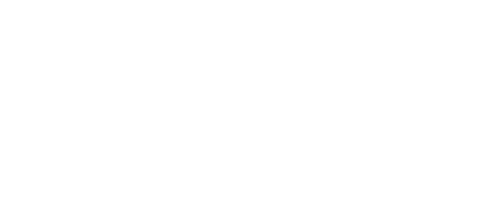 BriefHistory