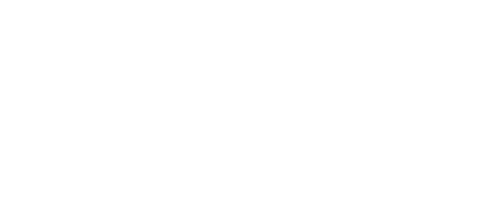 DeepBrief