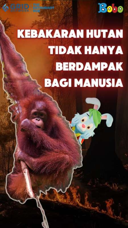 Yuk, kita berdoa agar kebakaran hutan yang terjadi di Kalimantan Barat ini segera padam