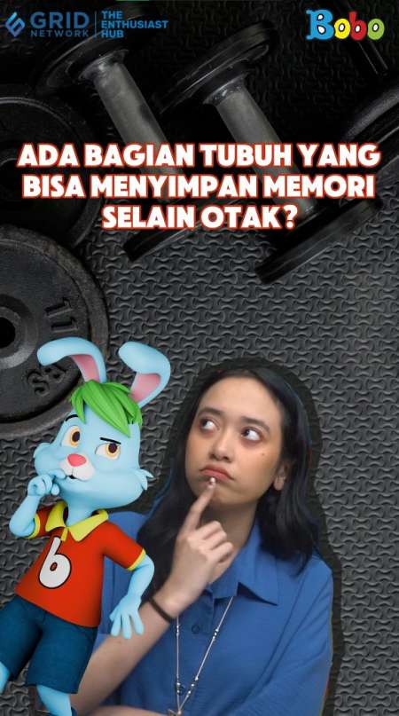 Ada Bagian Tubuh yang Bisa Menyimpan Memori Selain Otak?