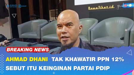 Ahmad Dhani Sebut Tak Khawatir Dengan PPN 12%, Karena Yang Mengajukan Partai PDIP