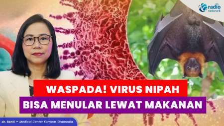 Cara Penularan Virus Nipah dari Hewan hingga Makanan