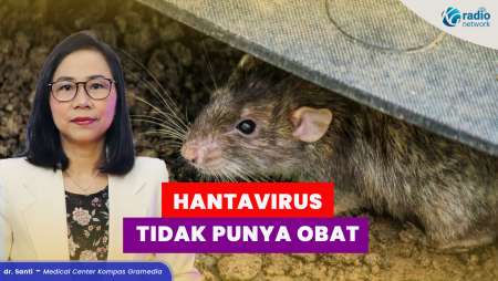 Cara Penyembuhan dan Pencegahan Hantavirus