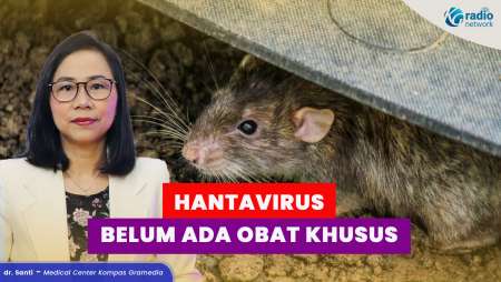 Waspada Hantavirus! Ketahui Cara Penyembuhan dan Pencegahannya