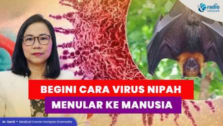 Penularan Virus Nipah: Hewan, Makanan, dan Kontak Manusia