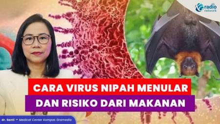 Virus Nipah Menular Lewat Apa? Dari Hewan sampai Makanan