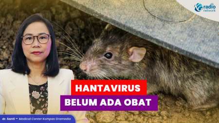 Jangan Panik! Cara Mengatasi dan Mencegah Hantavirus