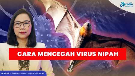 Cara Menghindari dan Mencegah Virus Nipah