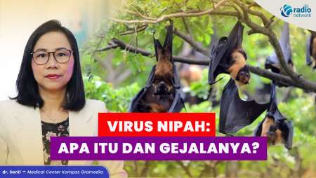 Virus Nipah Itu Apa? Ini Jenis dan Gejala yang Harus Diwaspadai