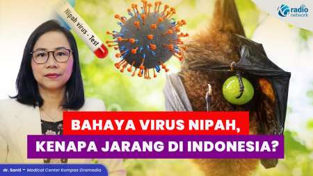 Bahaya Virus Nipah serta Penyebabnya. Tapi Kenapa Jarang Ada di Indonesia?