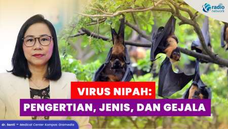 Apa itu Virus Nipah? Macam-Macam hingga Gejalanya