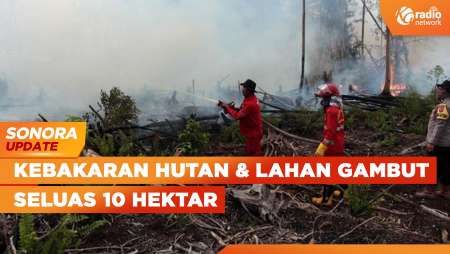 Kebakaran Hutan dan Lahan Gambut Seluas 10 Hektar di Kampar Riau | SONORA UPDATE