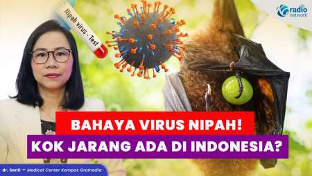 Bahaya dan Penyebab Virus Nipah, Kenapa Jarang Terjadi di Indonesia?