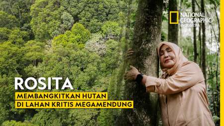 Rosita membangkitkan Hutan di Lahan Kritis Megamendung
