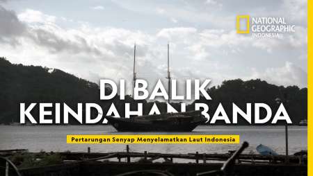 Banda Neira: Surga Laut yang Terancam Punah