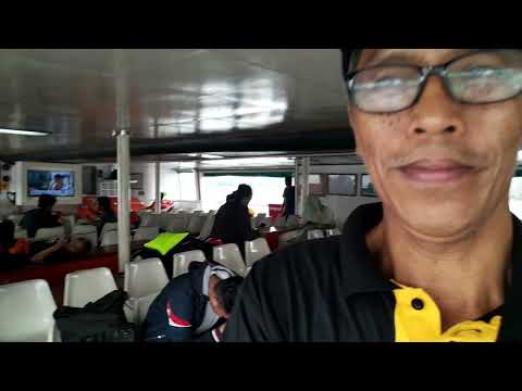 Menyaksikan Hutan Bakau ketika Naik Kapal Feri dari Balikpapan ke Penajam