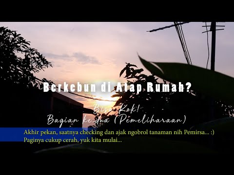 Berkebun di Atap Rumah? Bisa Kok! (Bagian Ke-2, Pemeliharaan)