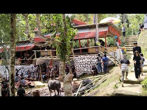 Iring-Iringan Rombongan Keluarga pada Upacara Rambu Solo'