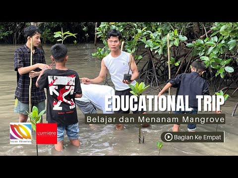 Mengisi Liburan Anak dengan Belajar Mangrove