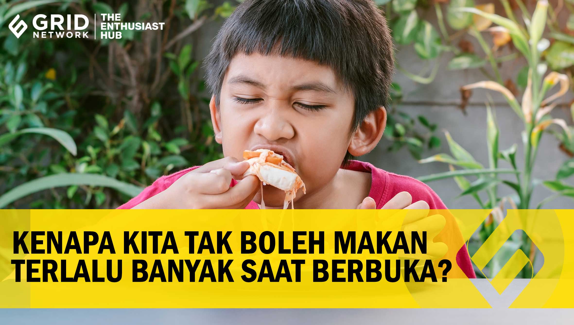 KENAPA KELELAWAR TIDUR DENGAN POSISI TERBALIK SELAMA 20 JAM?