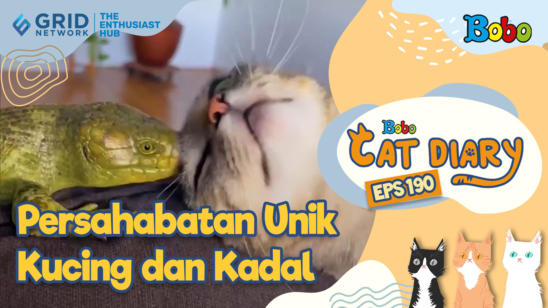 Kucing Lucu - Persahabatan Unik Kucing dan Kadal - Bobo Cat Diary Eps 190