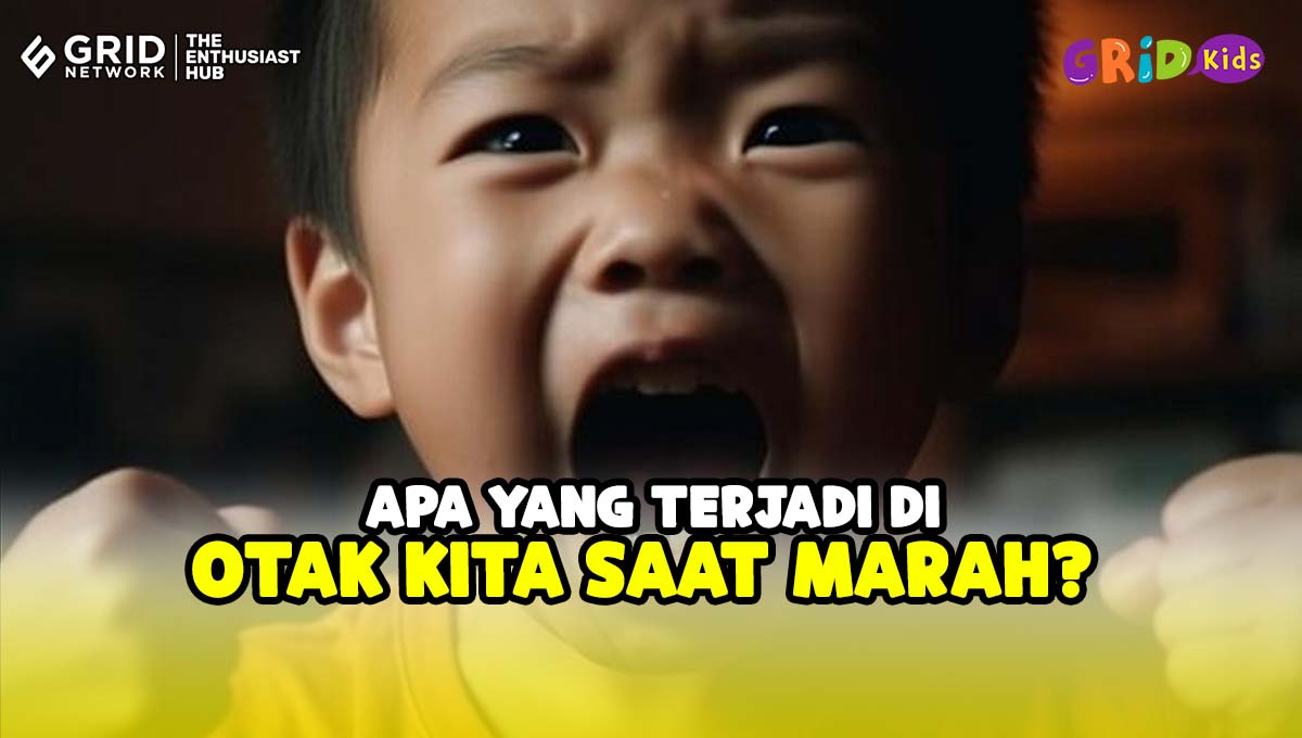 Apakah Yang Terjadi Pada Otak Saat Kita Sedang Merasa Marah?