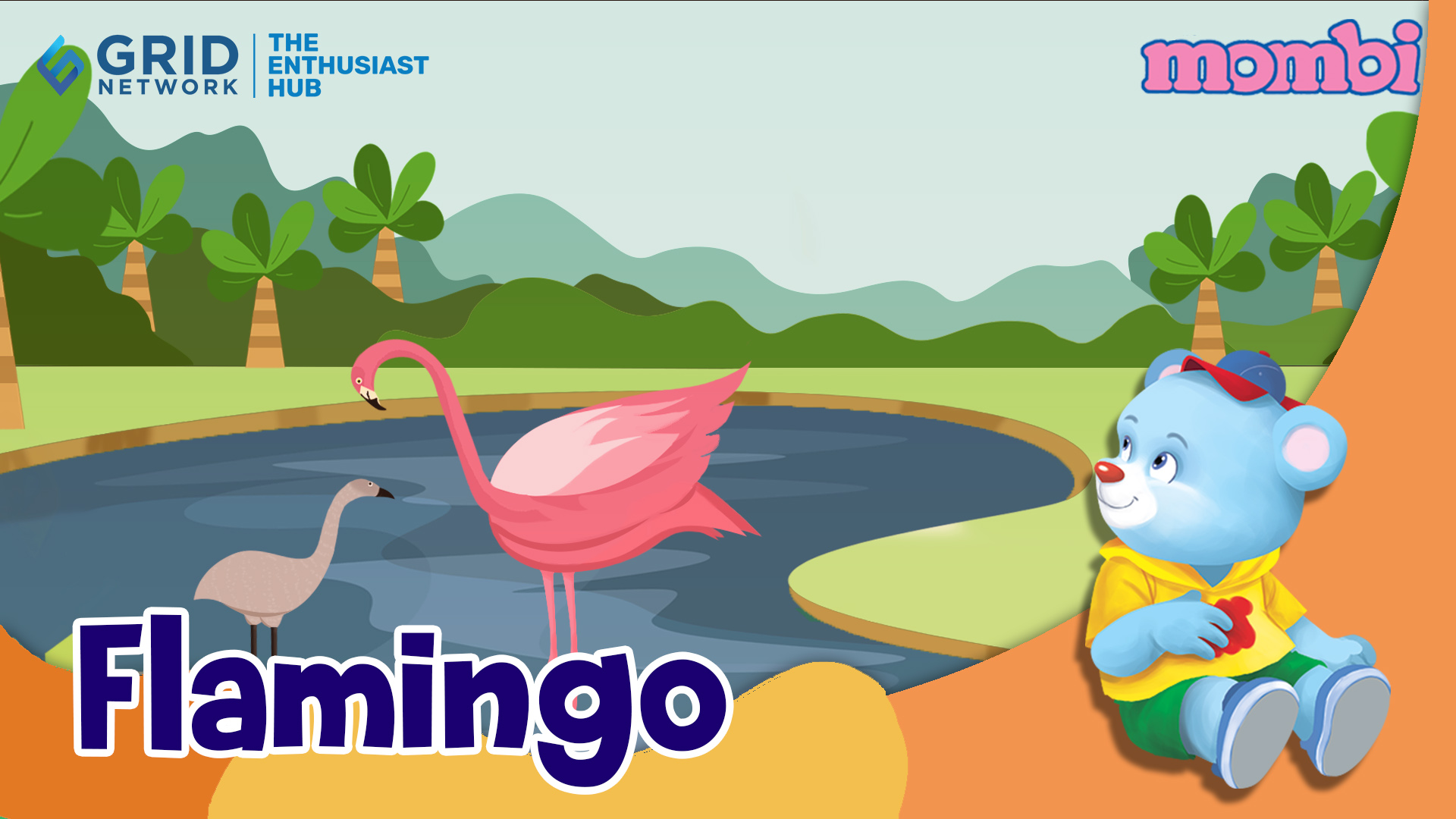 Belajar dan Mengenal Hewan Flamingo