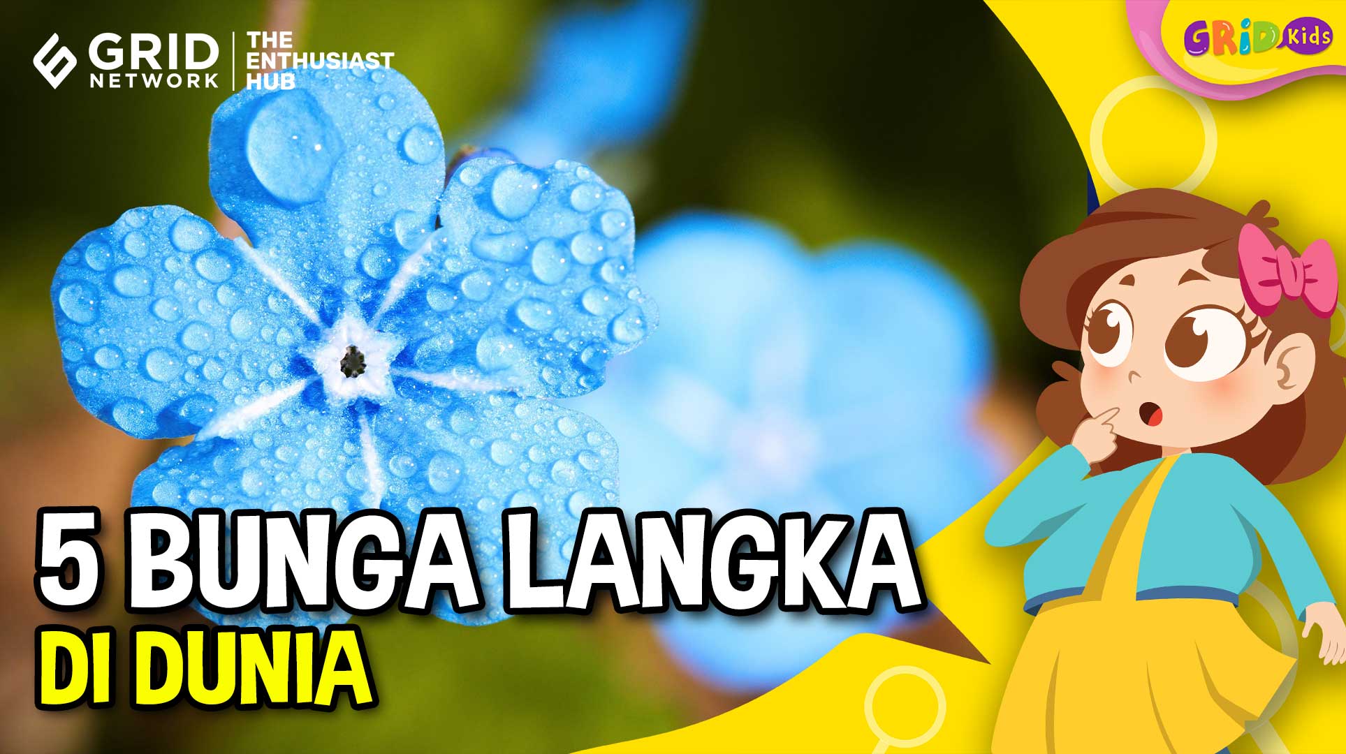Top 5 Bunga Langka di Dunia Ada yang Hidup di Indonesia,