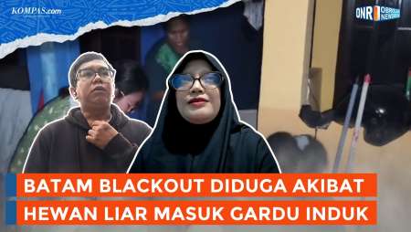 Update Batam Blackout, Diduga Akibat Hewan Liar