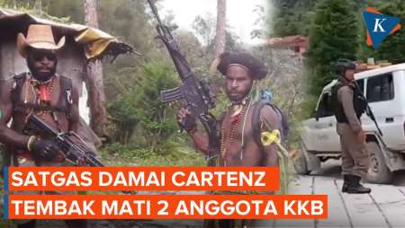 Satgas Damai Cartenz Tembak Mati 2 Anggota KKB di Papua Tengah