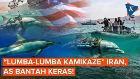 AS Bantah Iran Pakai "Lumba-lumba Kamikaze" Di Selat Hormuz, Ini Fakta Sebenarnya!