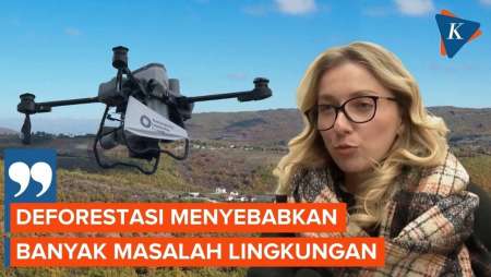 Perangi Deforestasi, Negara Ini Pakai Drone "Bom Benih" Untuk Tanam Pohon