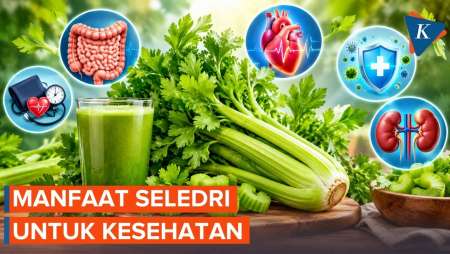 Manfaat Konsumsi Seledri Bagi Kesehatan Tubuh