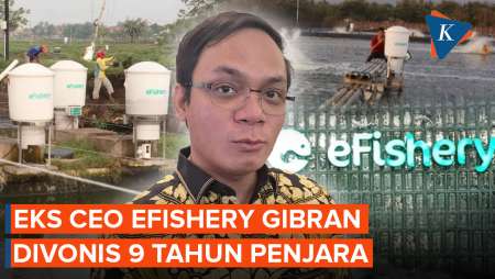 Gibran Huzaifah Eks CEO EFishery Divonis 9 Tahun Penjara