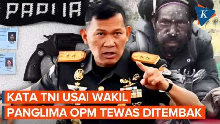 Apa Kata TNI Usai Wakil Panglima OPM Tewas di Tangan Koops Habema? 