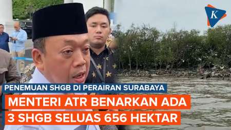 Menteri ATR Benarkan Ada 3 SHGB Seluas 656 Hektar di Perairan Surabaya-Sidoarjo