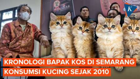 Pemilik Kos di Semarang Konsumsi Daging Kucing Selama Lebih dari 10 Tahun