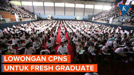 Siap-siap CPNS Dibuka September, Ada Lowongan untuk Fresh Graduate