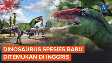 Dinosaurus Baru Ditemukan Di Inggris, Lebih Gesit Dari T-Rex!
