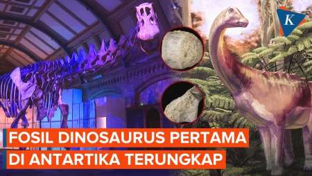 40 Tahun Di Laci, Ternyata Fosil Dinosaurus Pertama Di Antartika