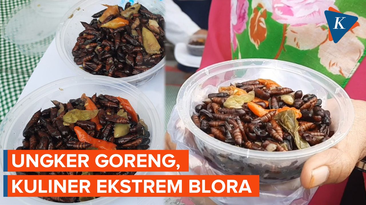 Sensasi Makan Ungker Goreng, Berbahan Ulat Jadi Kepompong di Blora