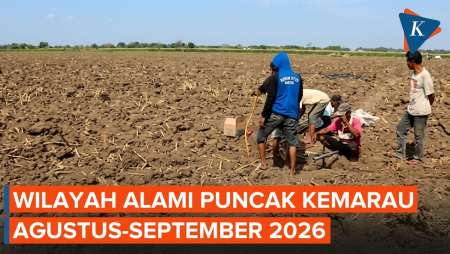 Daftar Wilayah Alami Puncak Musim Kemarau Agustus-September 2026