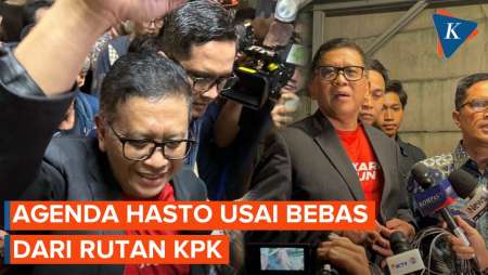 Bebas Usai Diberi Amnesti oleh Prabowo, Apa yang Akan Dilakukan Hasto?