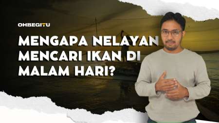 Mengapa Nelayan Mencari Ikan di Malam Hari?