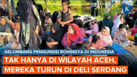 147 Pengungsi Rohingya Mendarat di Deli Serdang, Nahkoda Kabur, Aparat Waspada