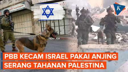 Militer Israel Lepaskan Anjing untuk Serang Tahanan Palestina, Bikin PBB Geram