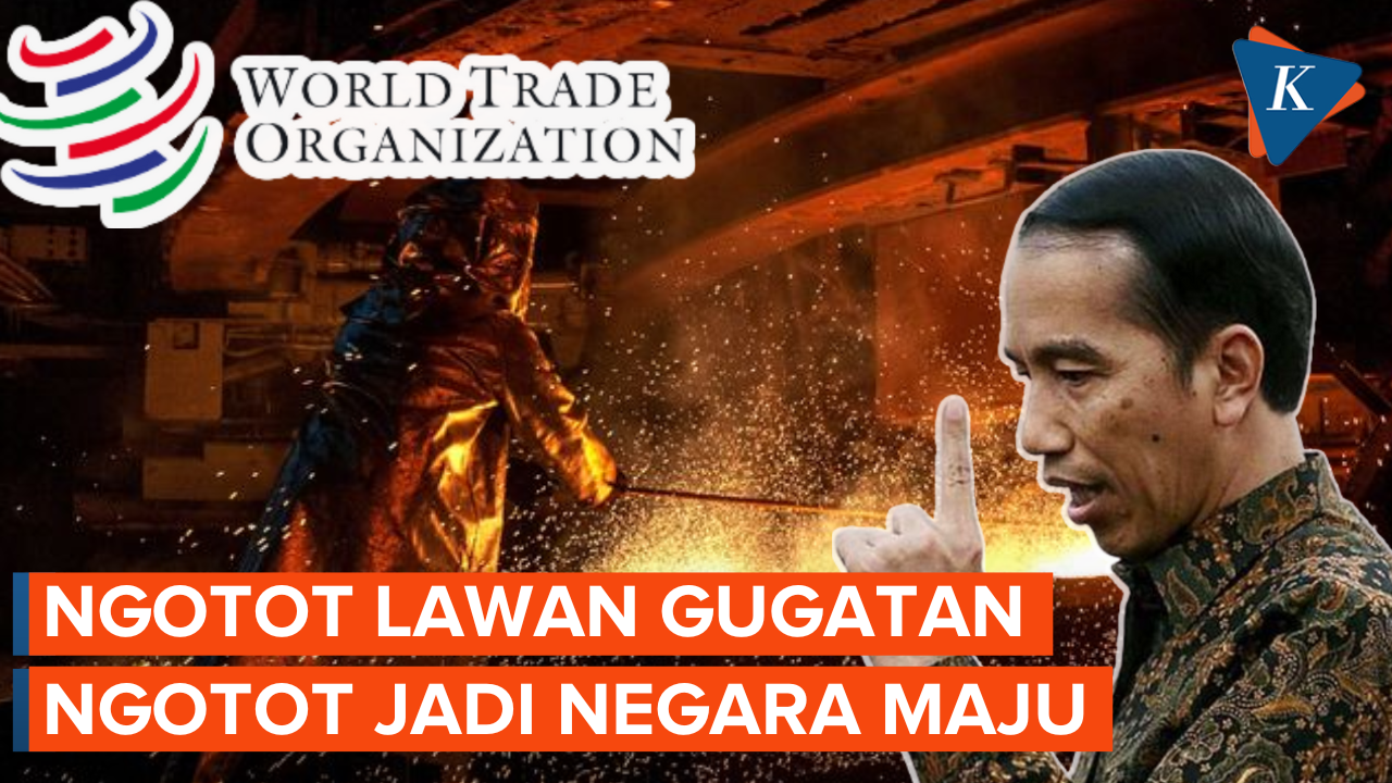 Langkah Menggebu Jokowi Bawa Indonesia Jadi Negara Maju
