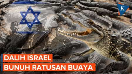Israel Bunuh Ratusan Buaya Di Tepi Barat, Takut Jadi Senjata Teroris?
