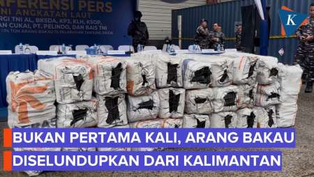 Pemerintah Heran Arang Bakau Lolos Diselundupkan Dari Kalimantan Ke Jakarta